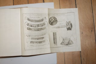 Algemeine Geschichte Der Länder Un Völker Von America.; Two volumes