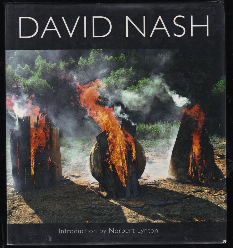 Item #9028946 David Nash. David Nash.