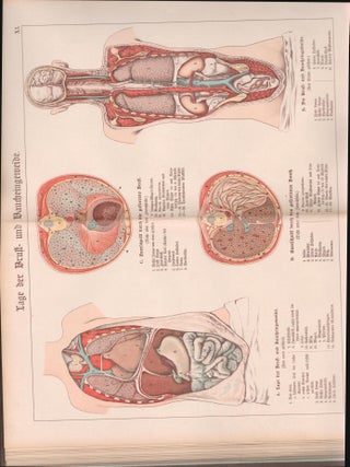 Item #9033275 Der Bau Des Menschlichen Korpers. Anatomische Beschreibung Des Menschen Fur Schule...